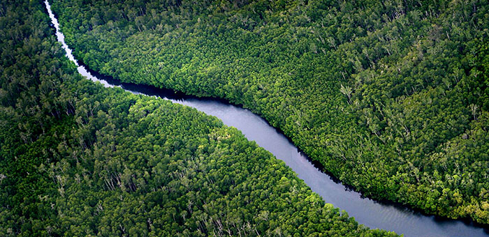 清潔的淡水，是日常生活不可或缺的資源